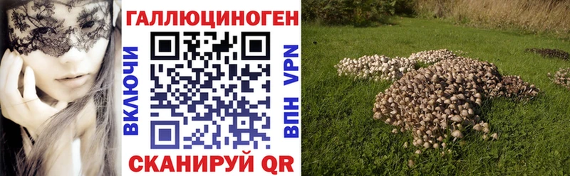 дарнет шоп  Куса  Галлюциногенные грибы Magic Shrooms 